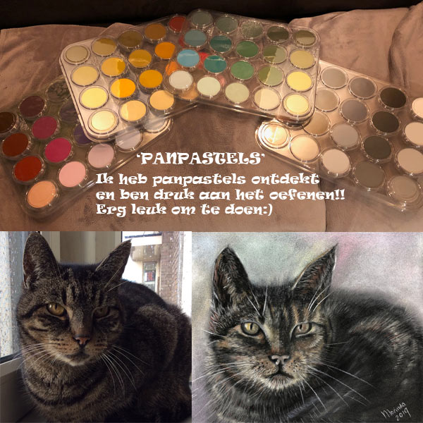 werken met panpastels en pastelpotloden