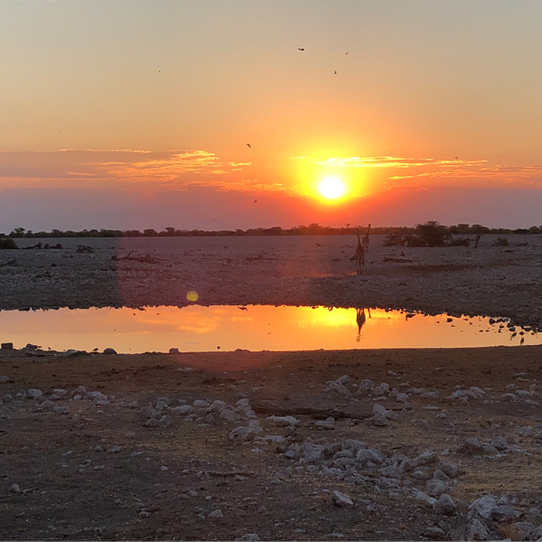 ondergaande zon in afrika